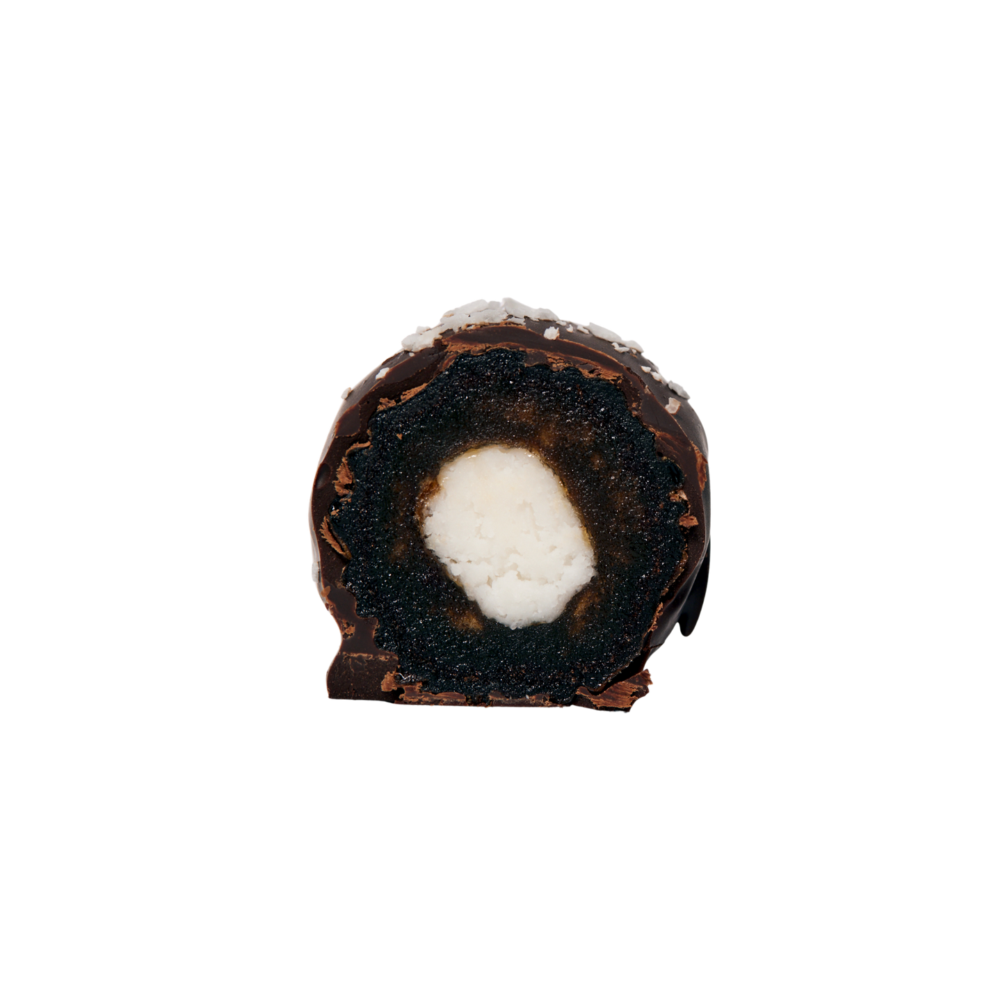 Coconut Single